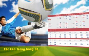 co nen choi soi keo bongvip khong 30 Tháng mười, 2024