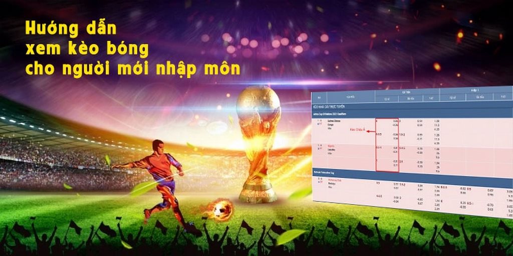 huong dan bongvip voi nhung tua game phong phu 30 Tháng mười, 2024