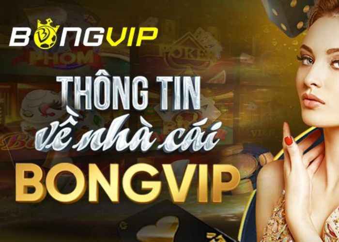 Giải Đáp Nhà Cái Bongvip Ở Đâu, Có Gì Thú Vị Tại Nhà Cái 