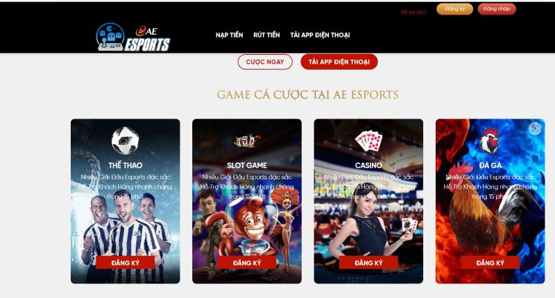 Nhà cái cá cược AE Esports