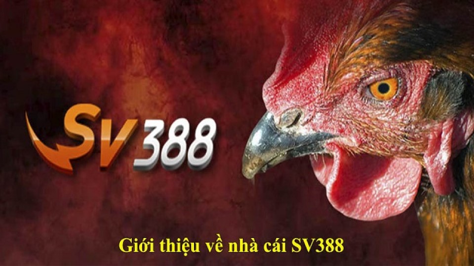 Sv388