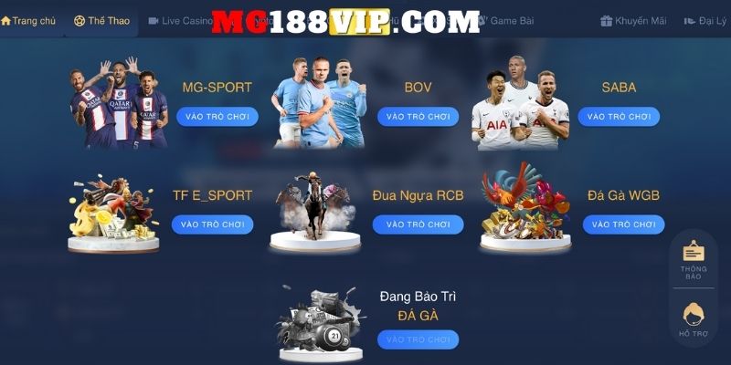 gioi thieu mg18vip 5 30 Tháng mười, 2024